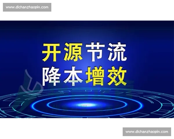 以降本增效为核心推动企业可持续发展的战略路径探讨