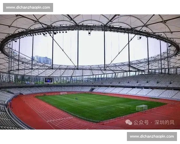 聚焦专项赛事推动竞技水平提升与体育产业发展 聚焦专项赛事推动竞技水平提升与体育产业发展